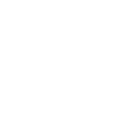 Commercial Scale Ambition