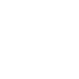 Committed Founding Team