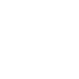 Real Sustainability Problem